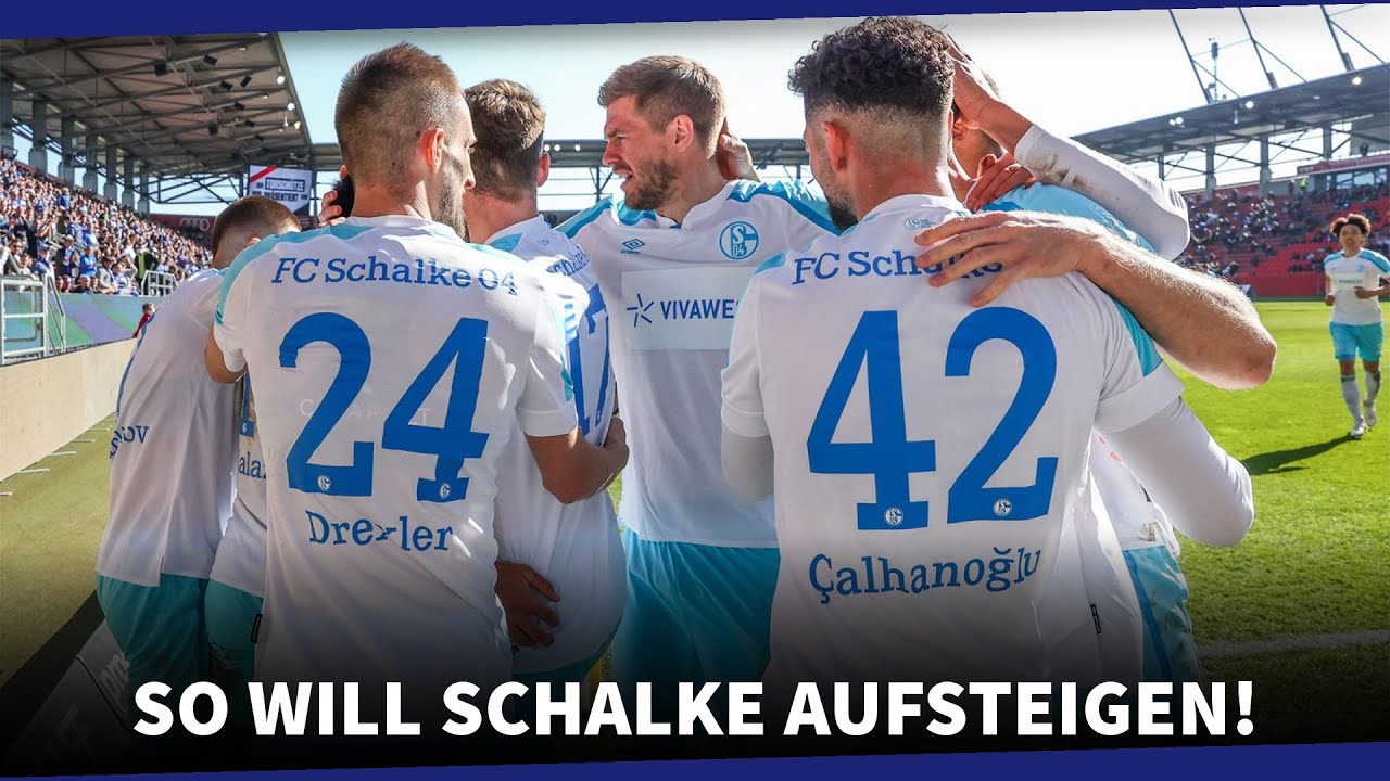Schalke 04: Büskens and Schröder give insight into the squad planning