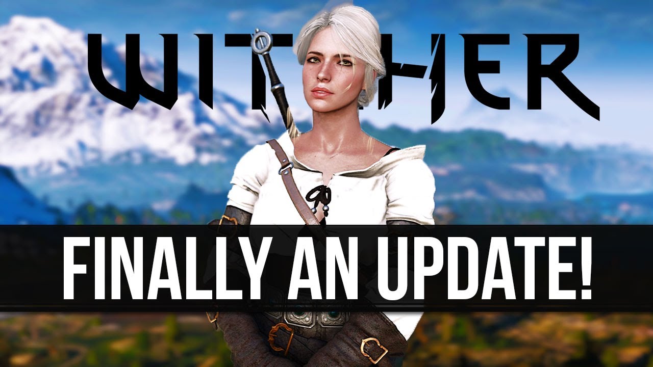 The Witcher 3 Wild Hunt Exposes Next